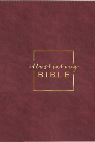9798886028621 Illustrating Bible