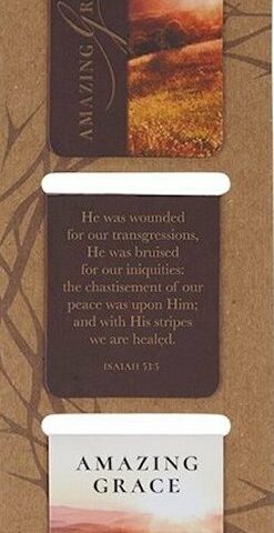 1220000720183 Amazing Grace Die Cut Magnetic Bookmark Set Isaiah 53:3
