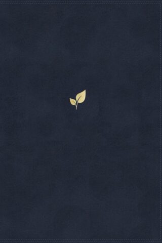 9780785201403 Lucado Encouraging Word Bible Comfort Print