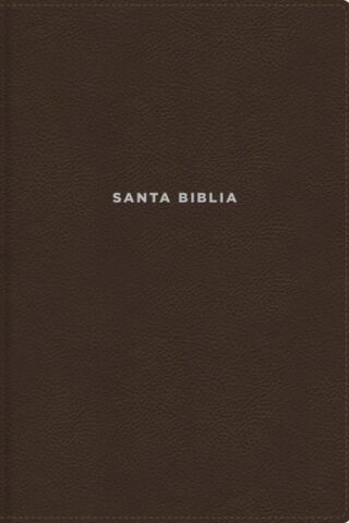 9780829771947 Study Bible Revised Text 2022 Large Print Comfort Print