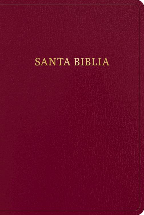 9781430091998 Giant Print Bible