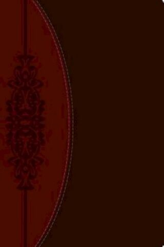 9781609261108 Wesley Study Bible