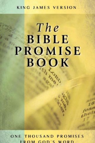 9781557481054 Bible Promise Book KJV