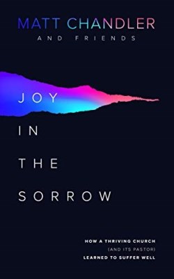 9781784983826 Joy In The Sorrow